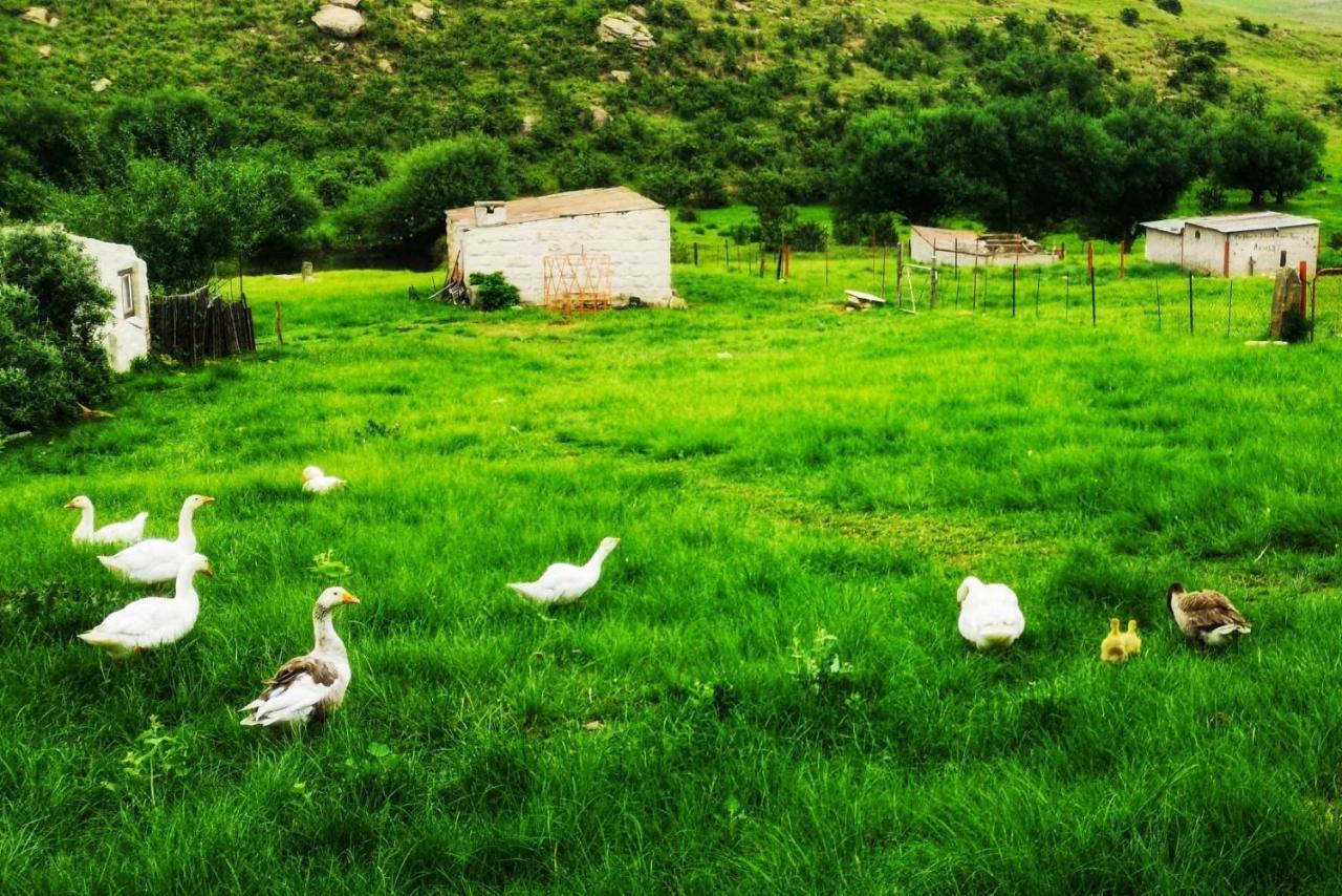 Oban Historical Guest Farm Villa Van Reenen Ngoại thất bức ảnh