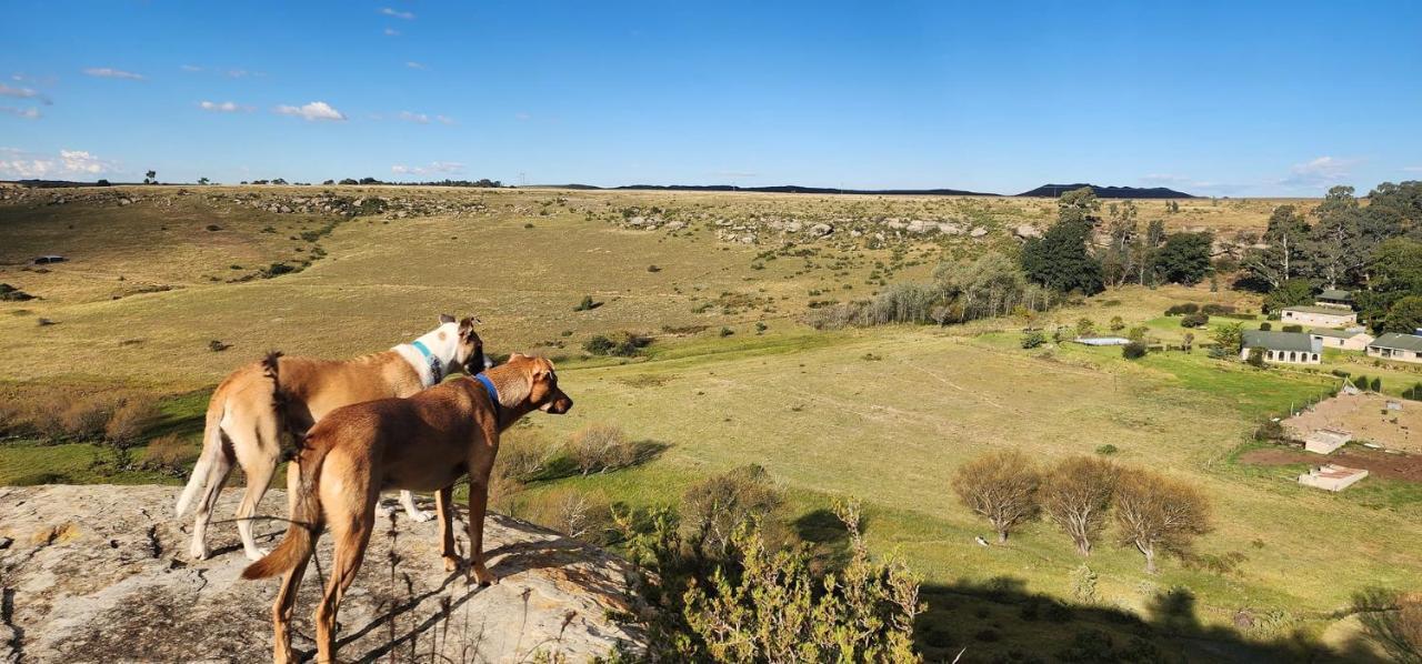 Oban Historical Guest Farm Villa Van Reenen Ngoại thất bức ảnh